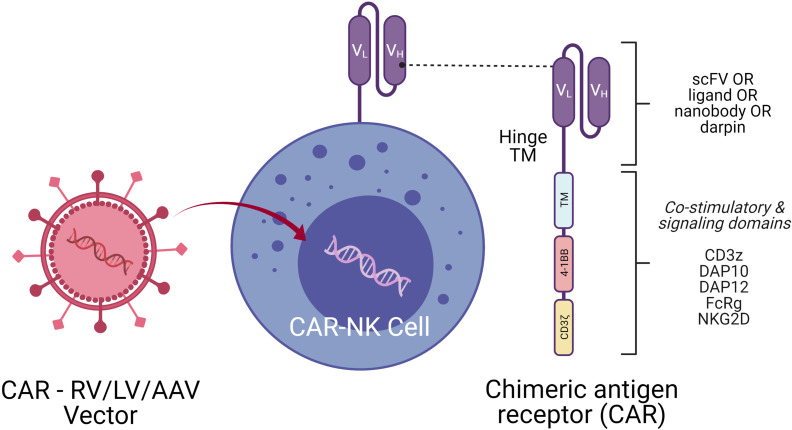 Figure 6