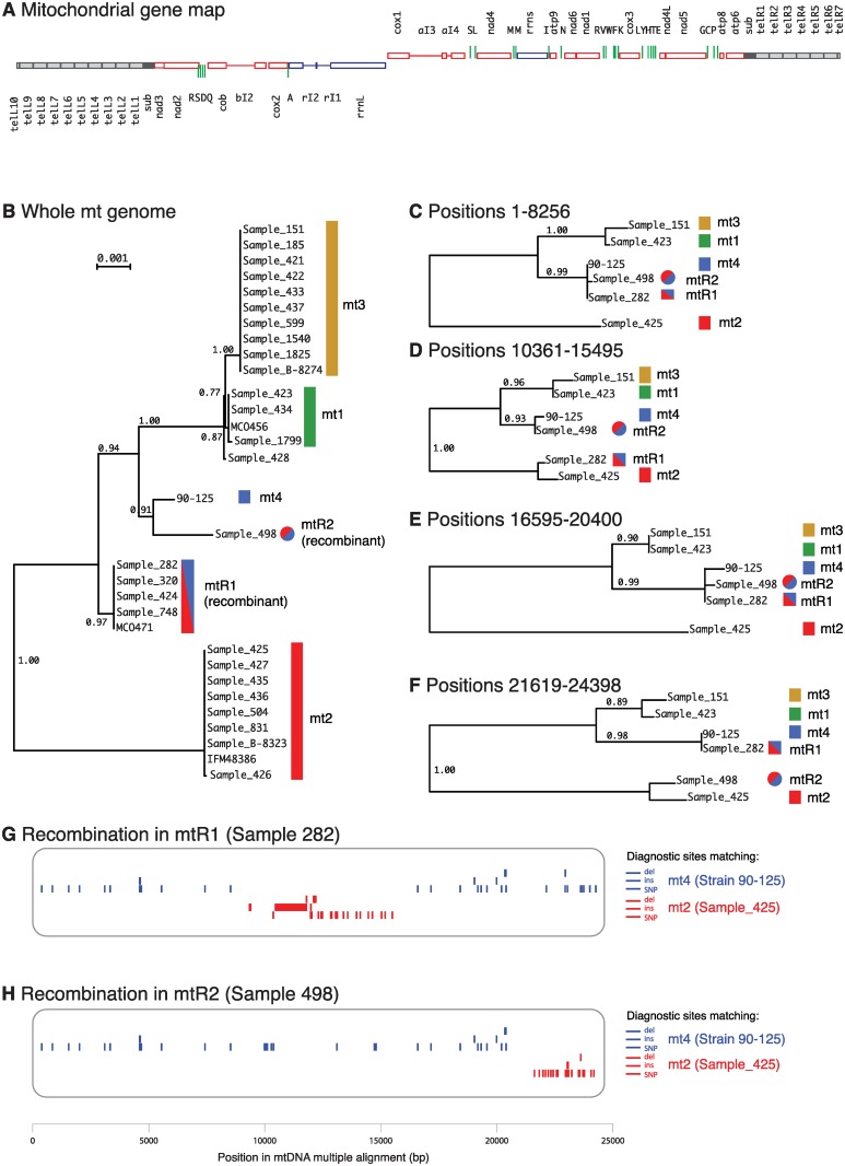 Fig 6