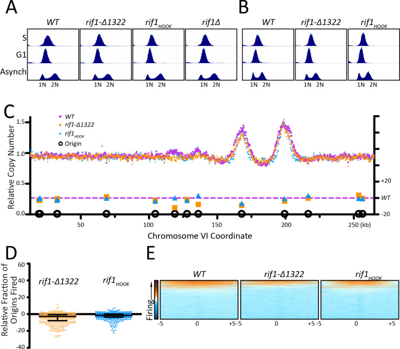 Figure 4—figure supplement 1.
