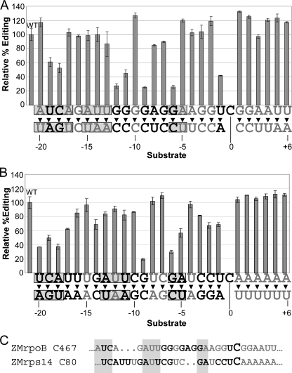 FIGURE 4.