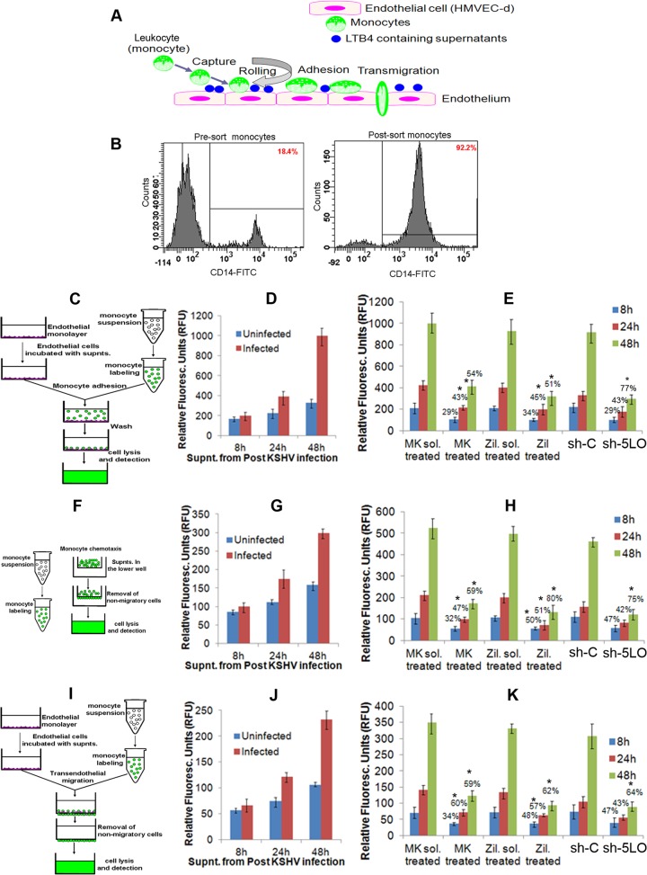 FIG 10