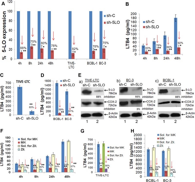 FIG 6