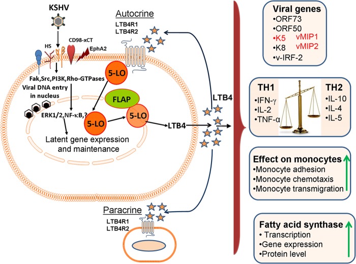 FIG 12