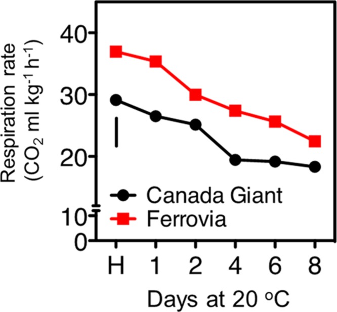 FIGURE 2