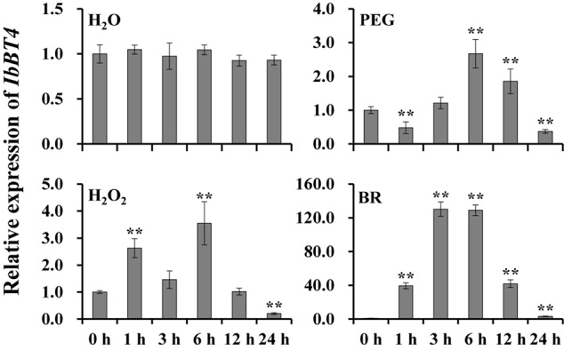 FIGURE 3