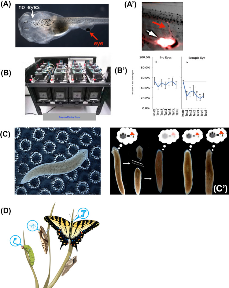 Fig. 3