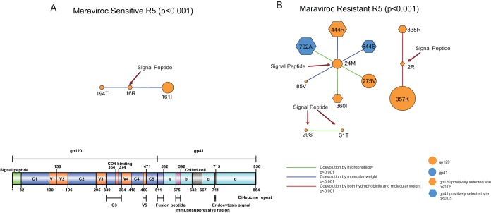 FIG 6