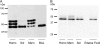 <b>Figure 7.</b>