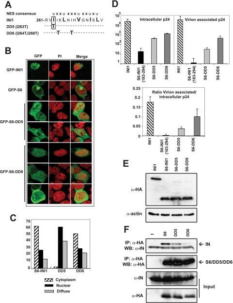 FIGURE 4.