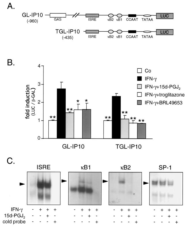 FIGURE 3