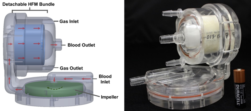 Figure 1: