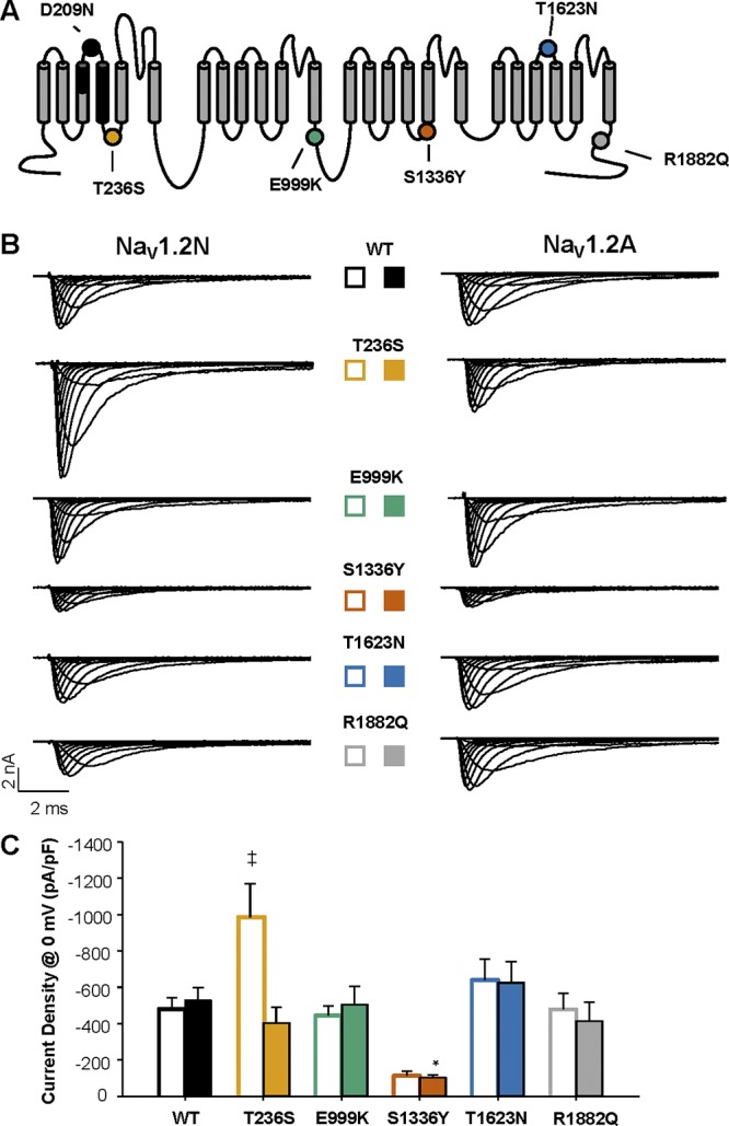 Figure 2.