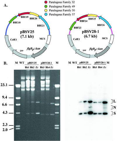 FIG. 3.