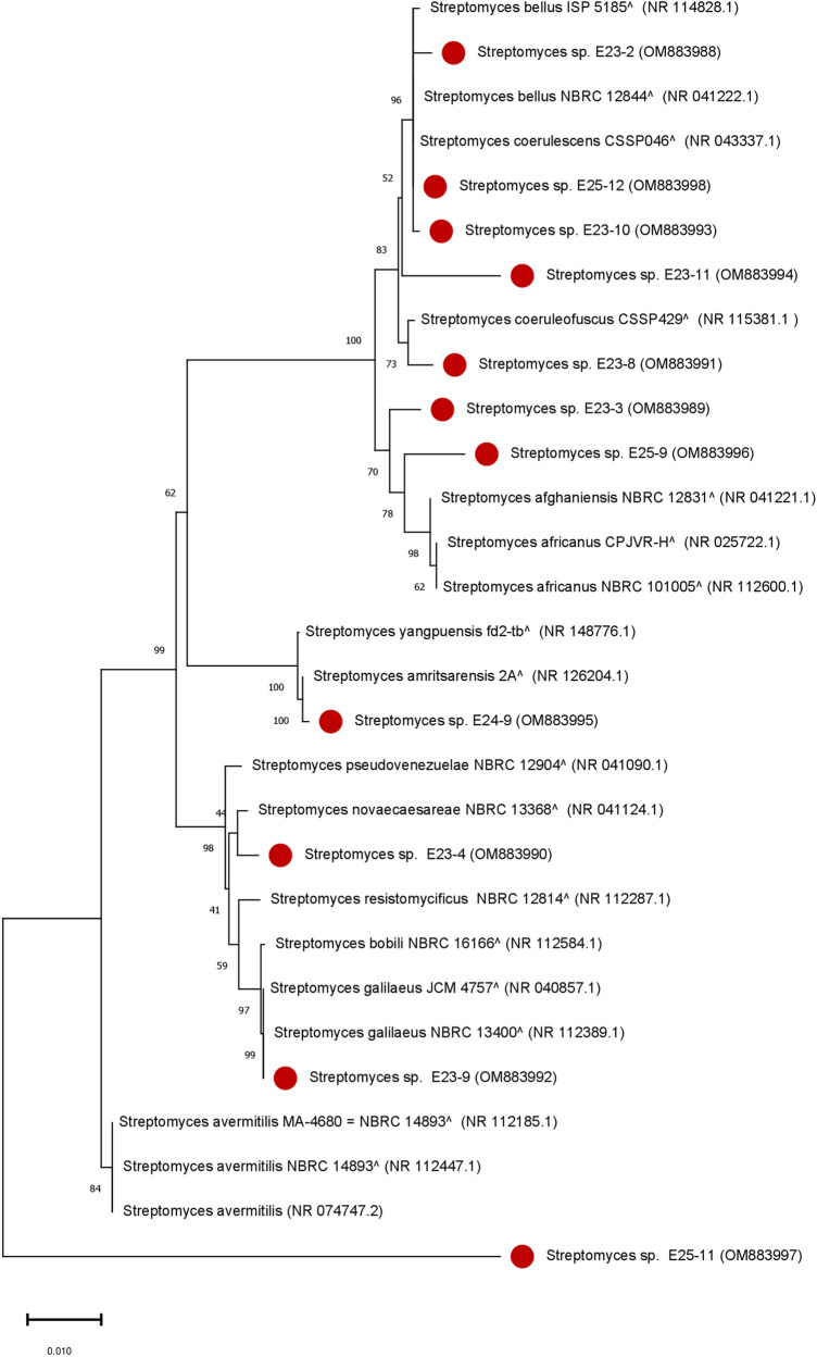 Figure 10