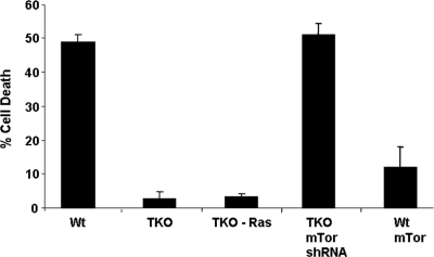 FIG. 5.