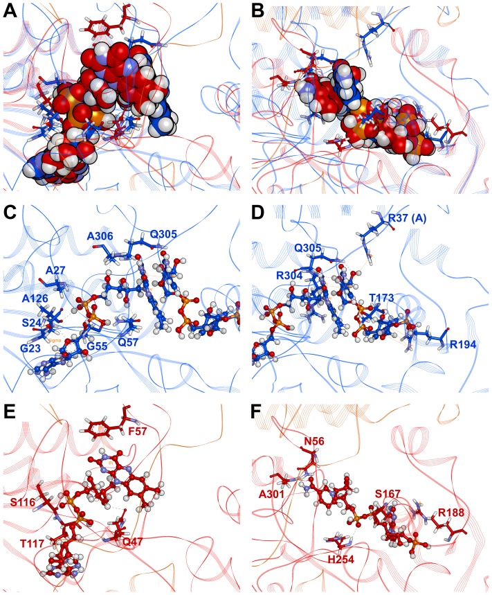 Figure 9