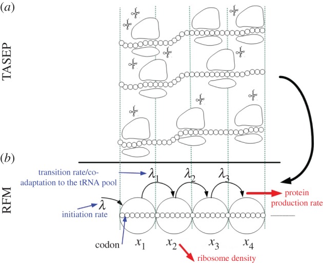 Figure 1.