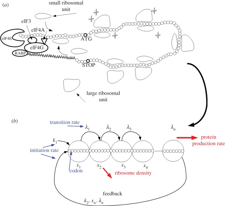 Figure 2.