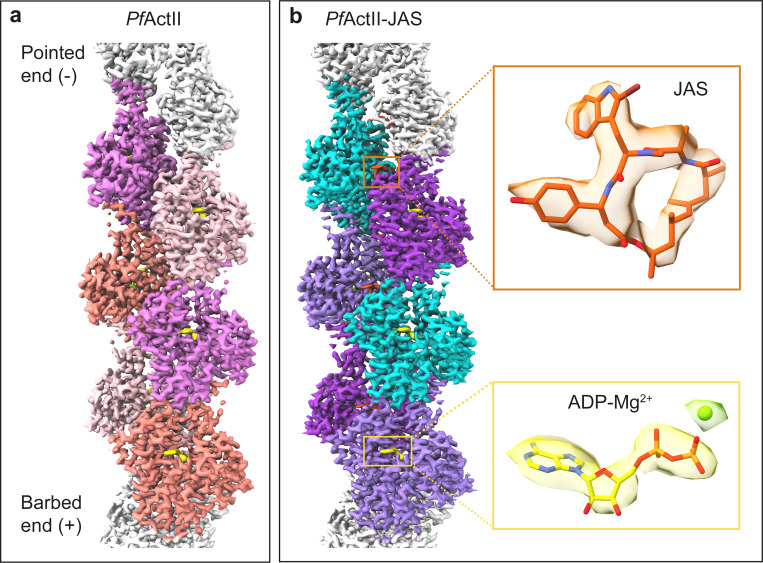 Fig 2