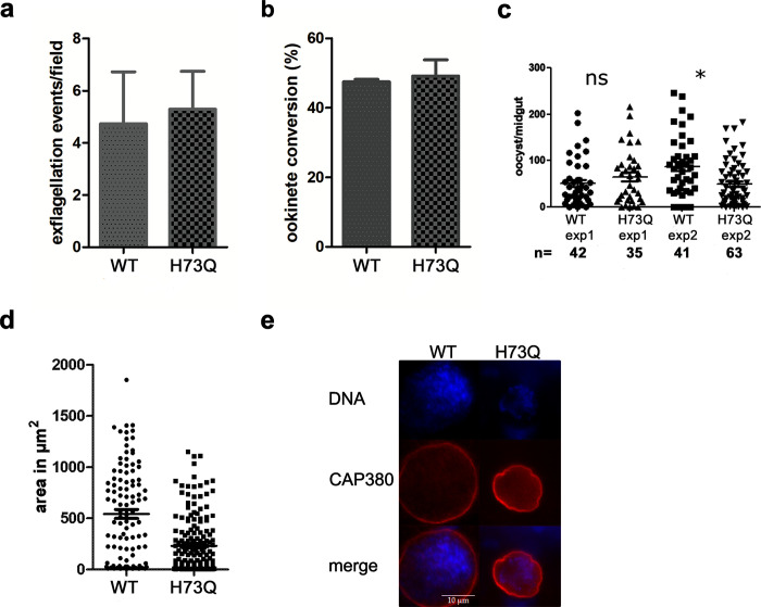 Fig 6