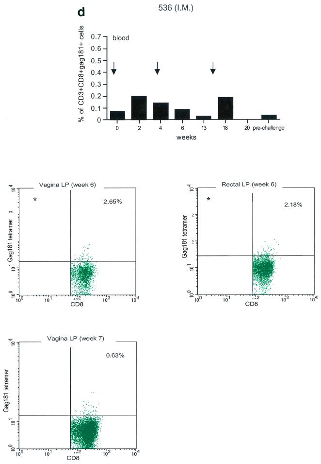 FIG. 3.