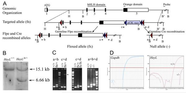 Fig.-1