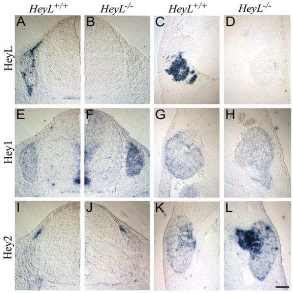 Fig.-3