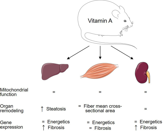 Figure 5