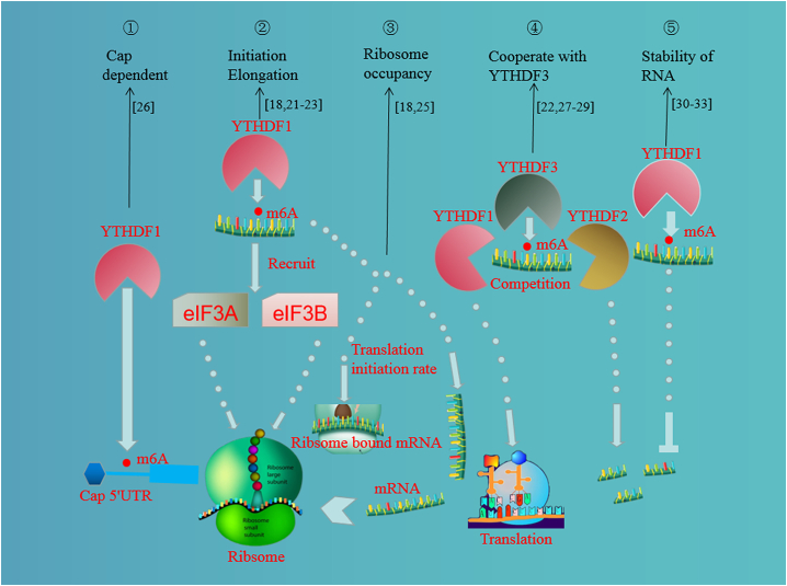 Figure 1