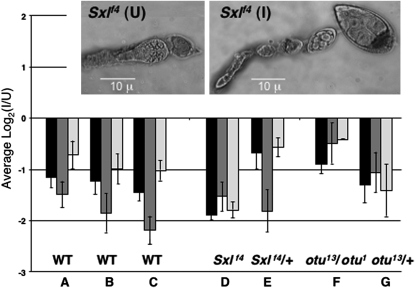 Figure 2.—