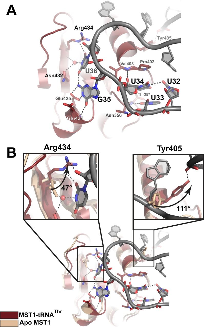 Figure 4.