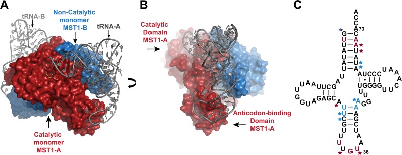 Figure 1.