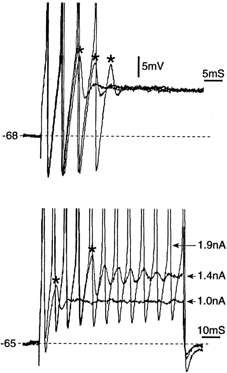 Fig. 8.