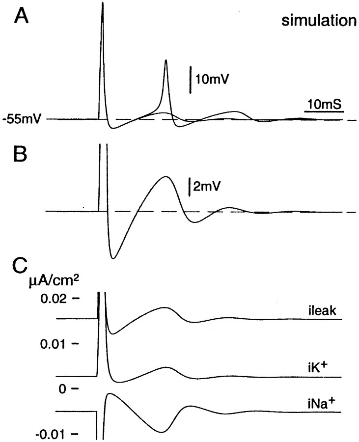 Fig. 7.