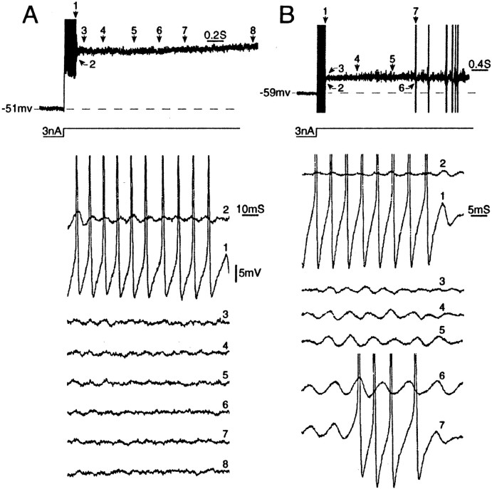 Fig. 9.