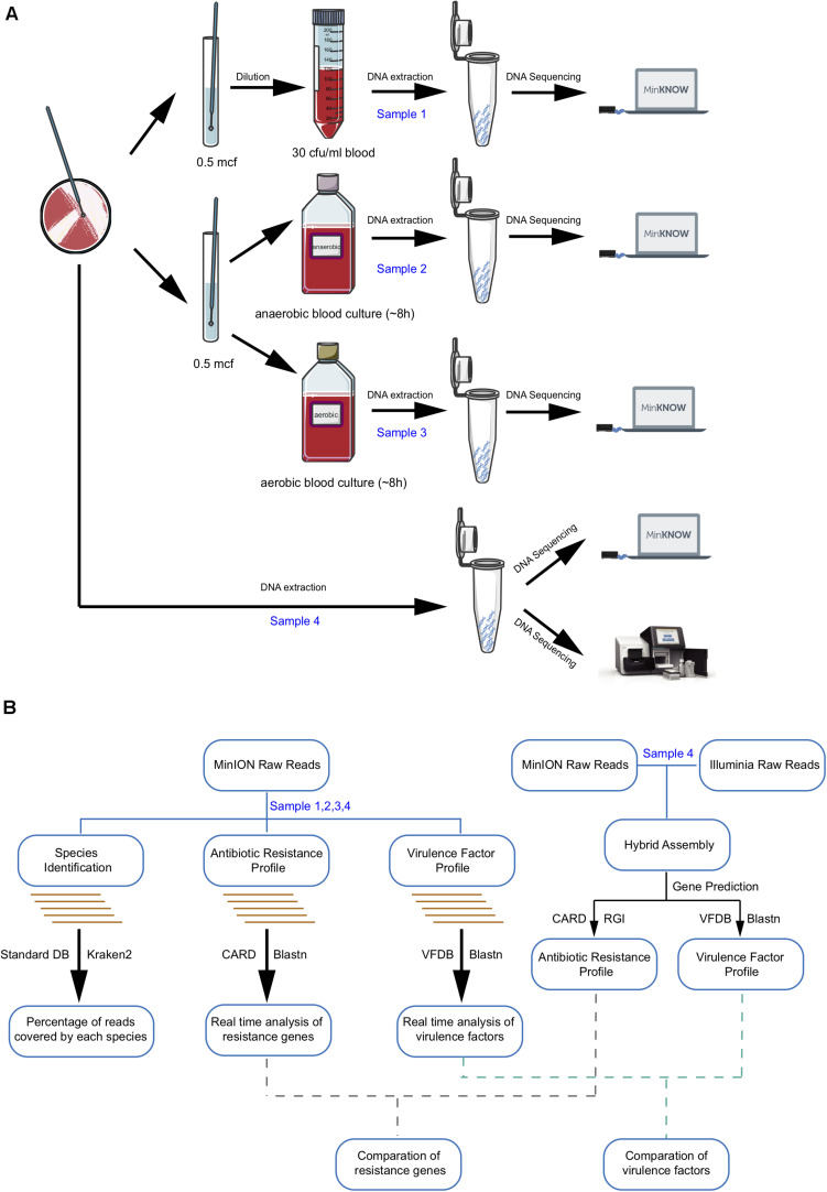 FIGURE 1