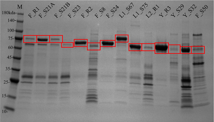 FIGURE 3