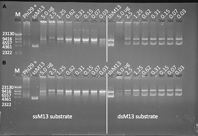 FIGURE 4