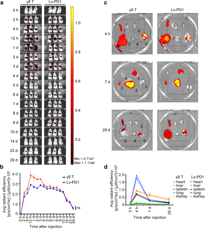 Fig. 4