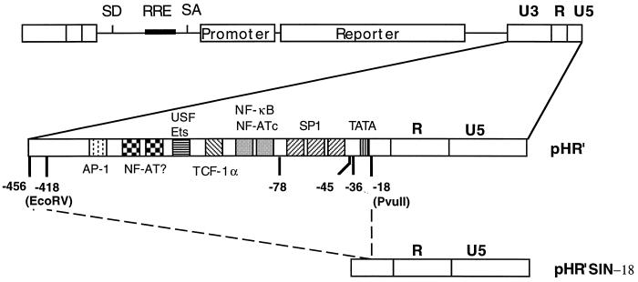 FIG. 1