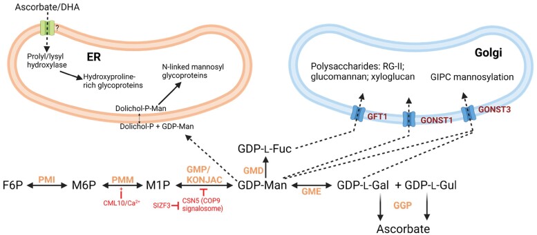 Fig. 3.