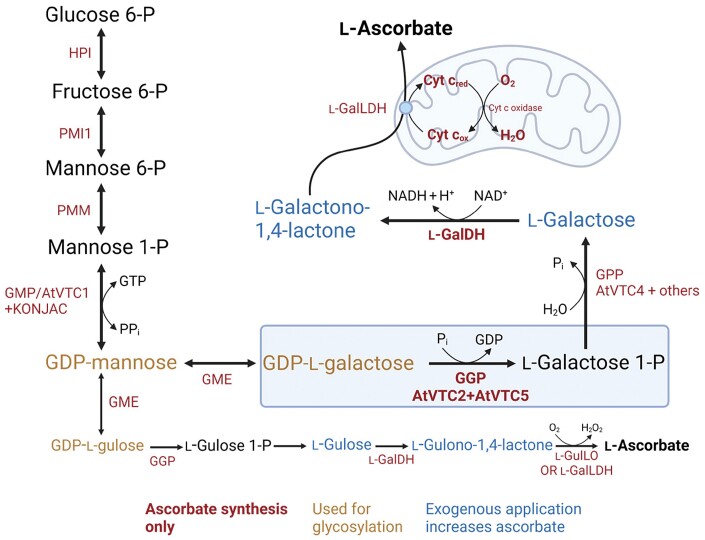 Fig. 2.