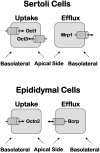 Fig. 11.