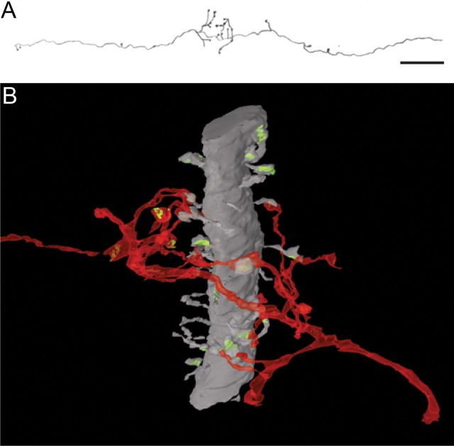 Figure 10.