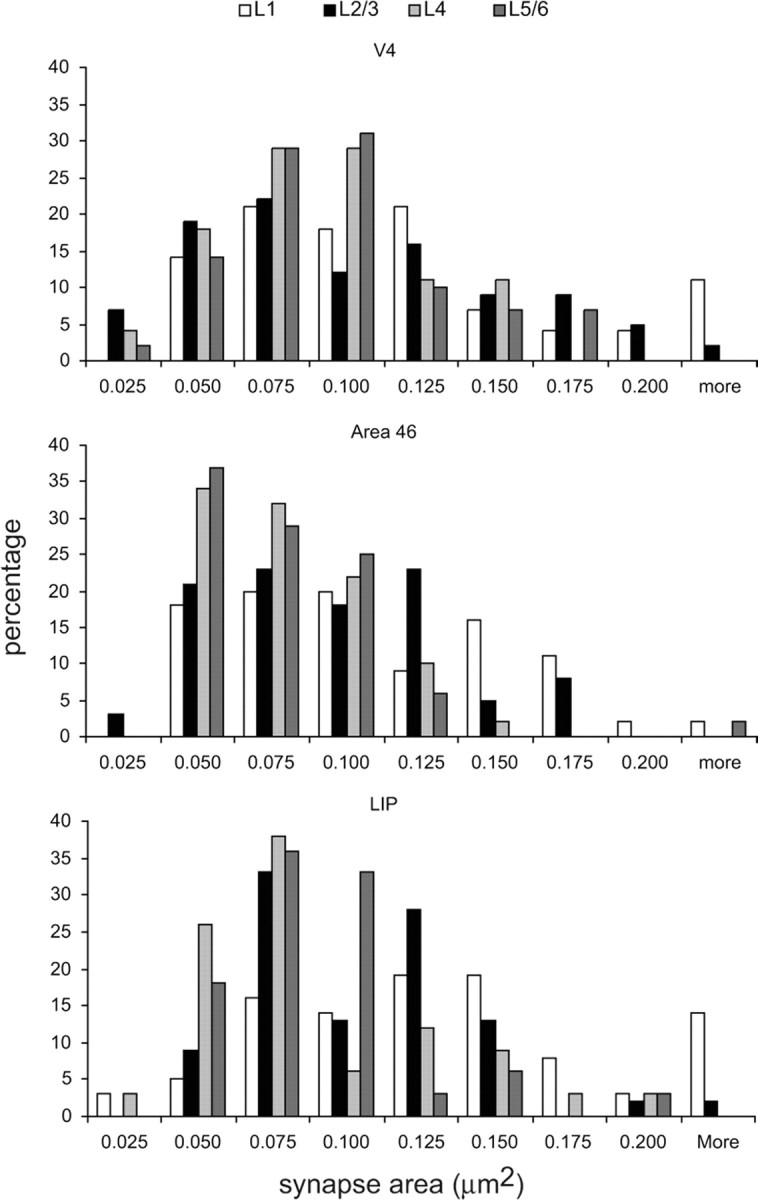 Figure 11.