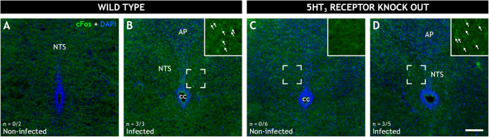 FIG 6