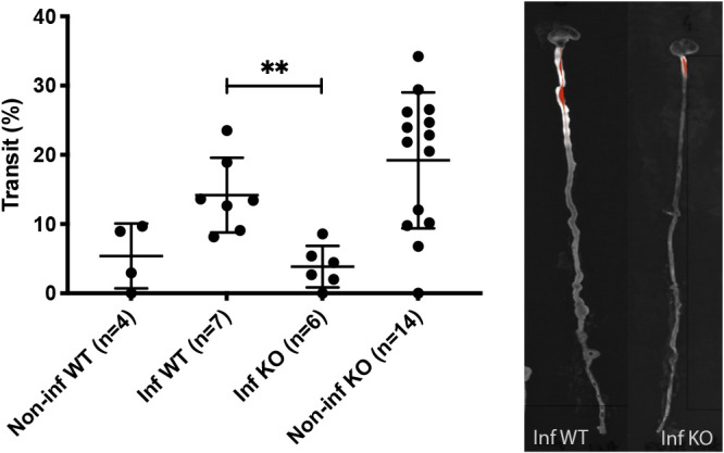 FIG 3