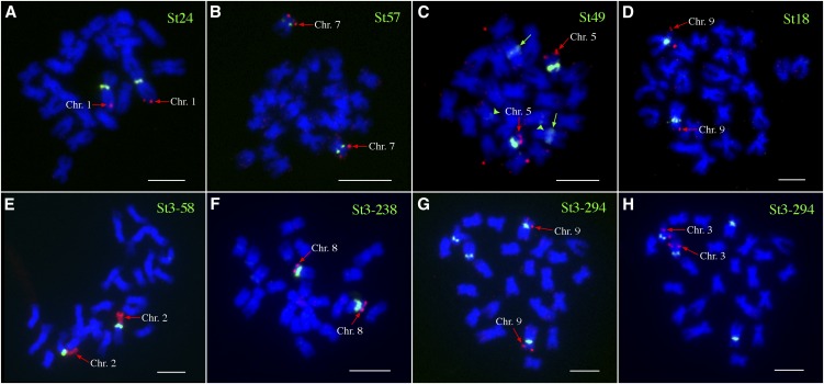 Figure 5.