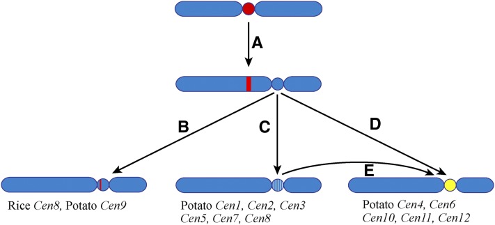 Figure 10.