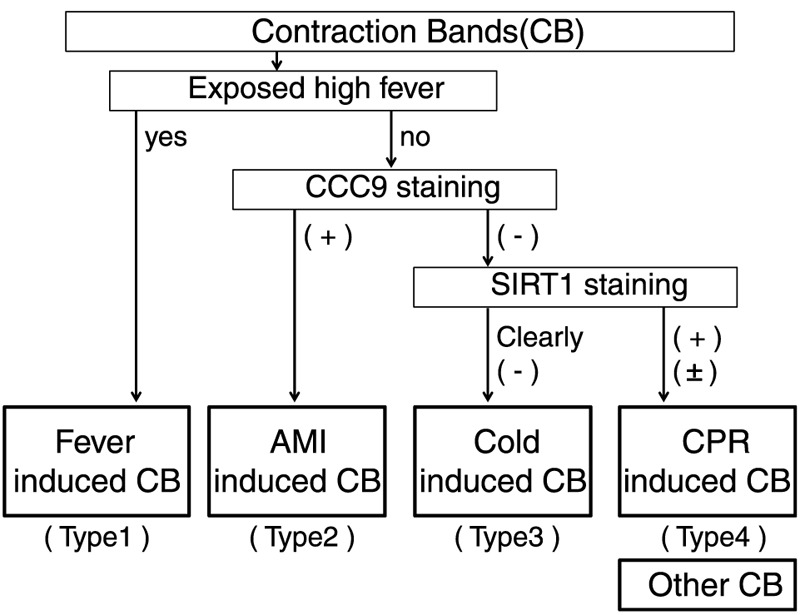 graphic file with name paf-36-23-g005.jpg